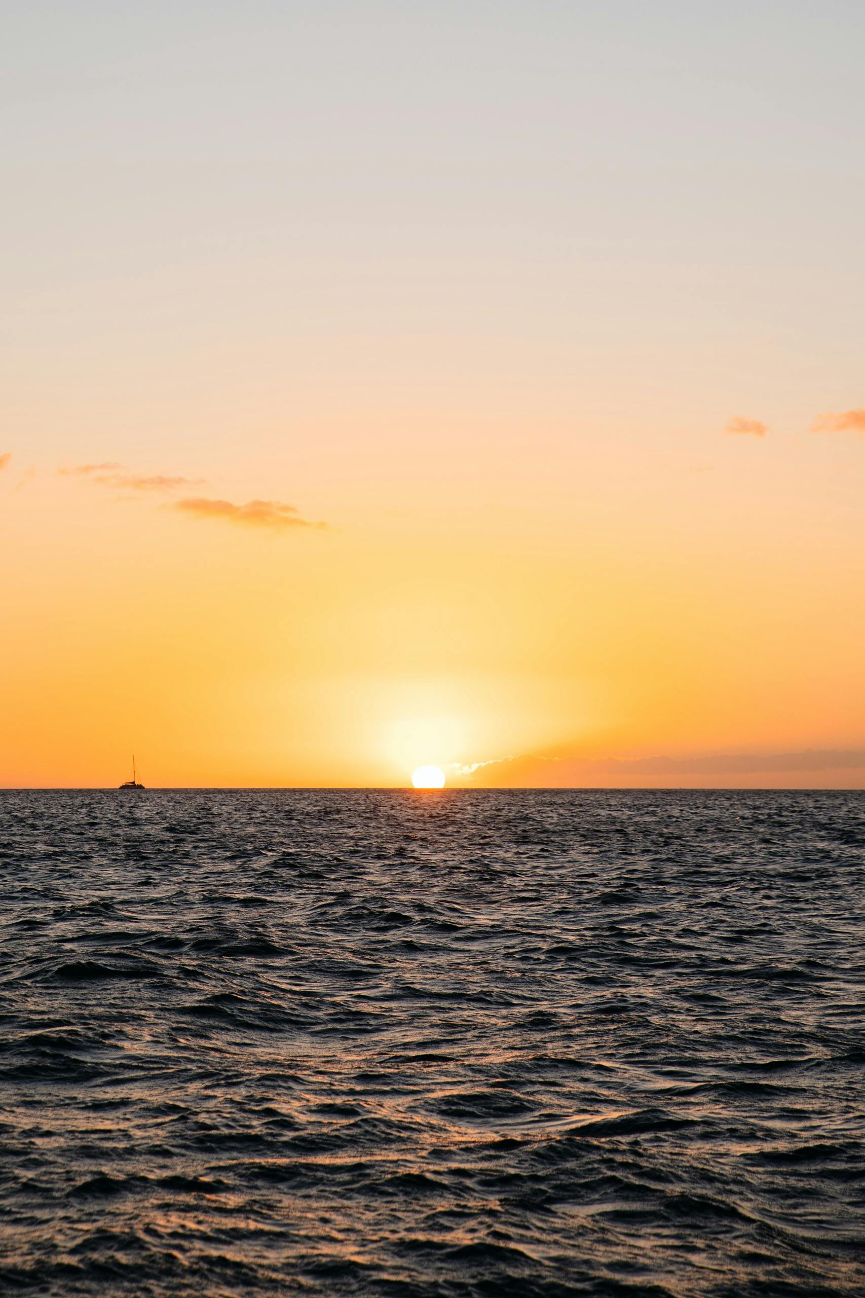 Akialoa: Vela al tramonto — 6