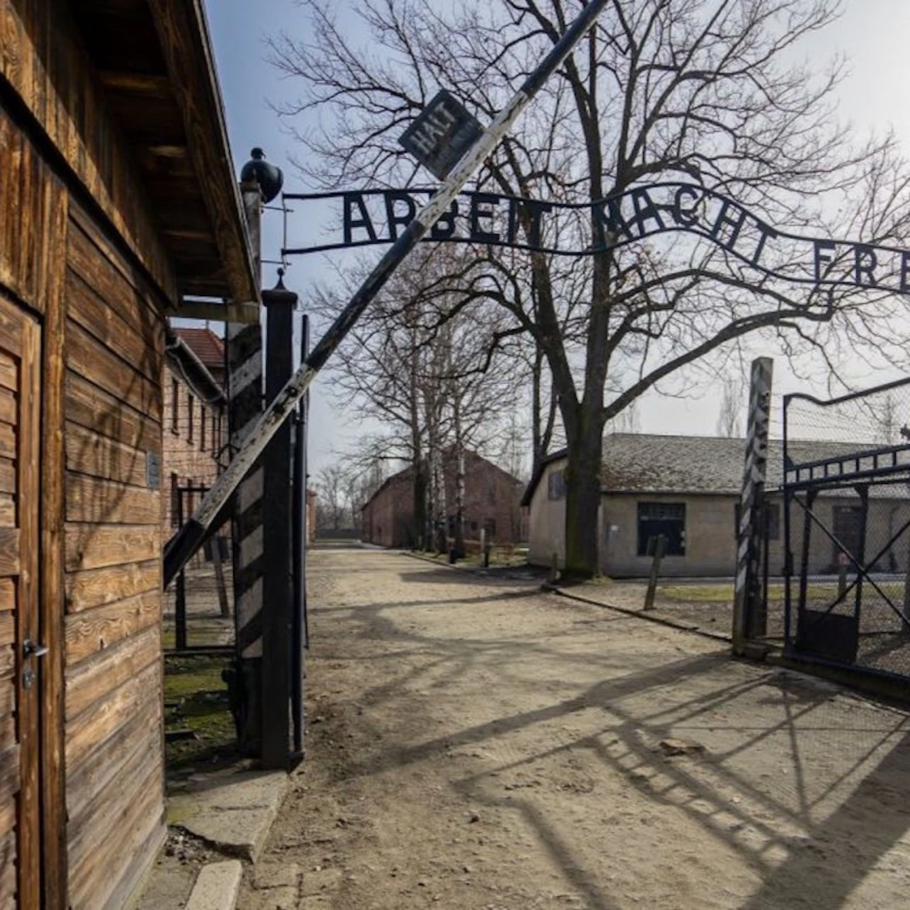 Auschwitz-Birkenau: Guided Tour + Transport in Krakow – Tiqets