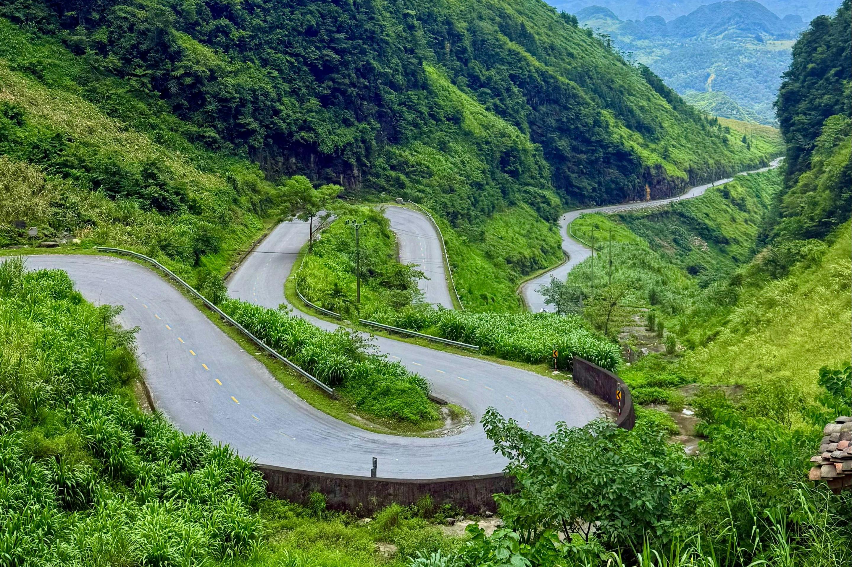 En snoet bjergvej med skarpe sving omgivet af frodig grøn vegetation og træer.