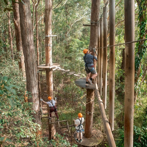 Treetops Adventure Newcastle: Corso di corde