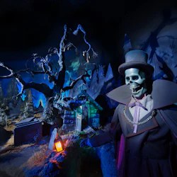 Disneyland® Paris: Ticket + Shuttle Transport from Paris 5