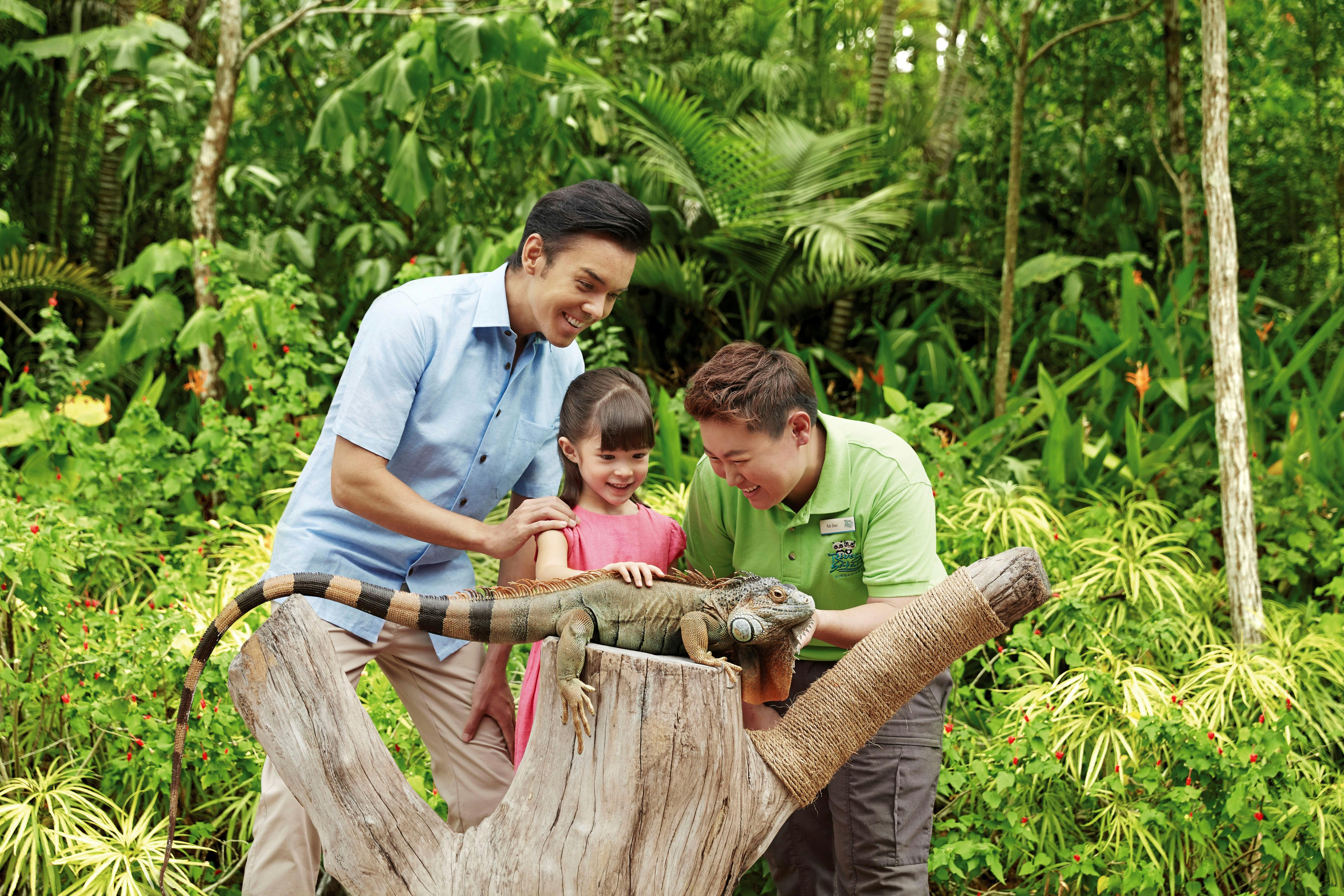 Dva dospělí a dítě se dotknou leguána posazeného na kládě ve svěžím tropickém prostředí se zelení v pozadí.