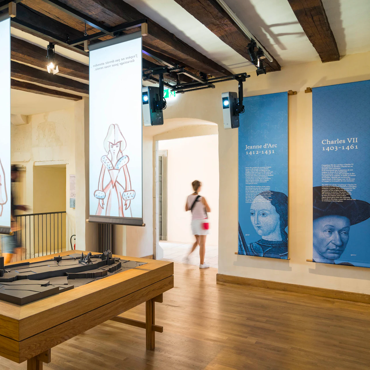 Gallery preview 2 of Cité royale de Loches