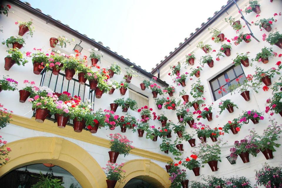 Córdoba