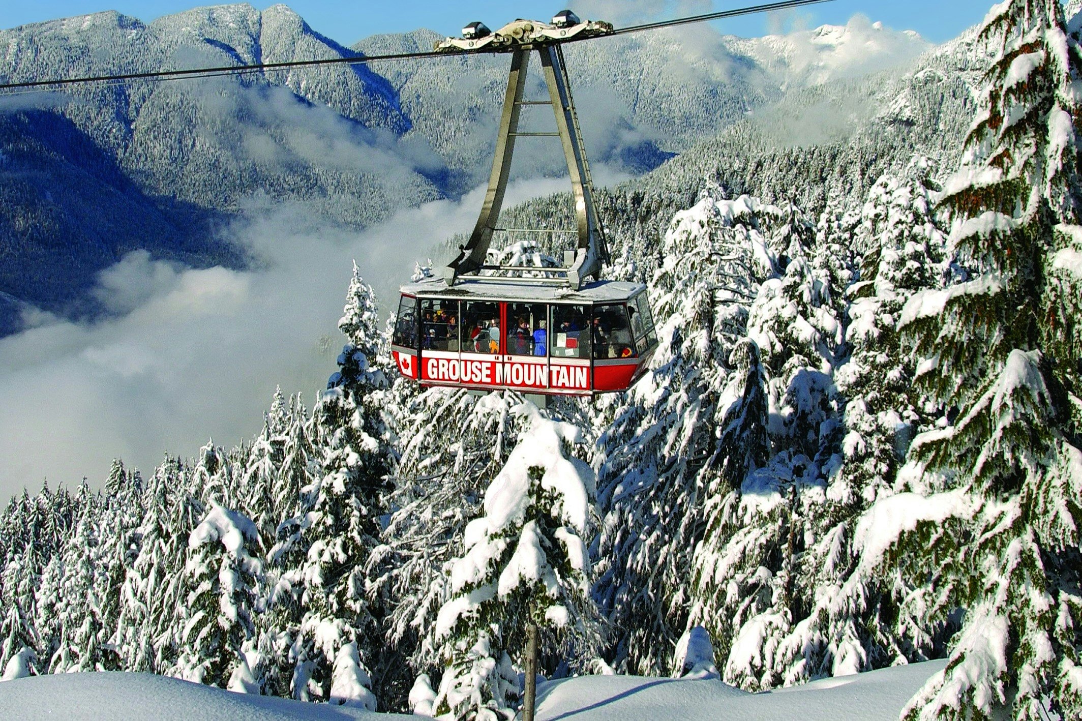 Grouse Mountain: Winter Admission Ticket