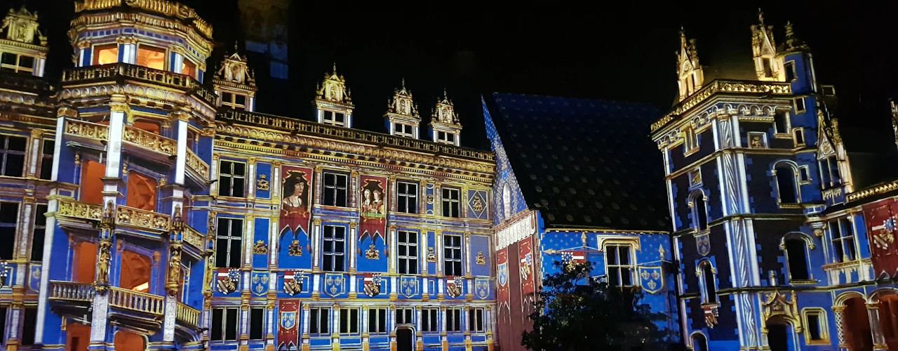 Castello Reale di Blois: Spettacolo di suoni e luci