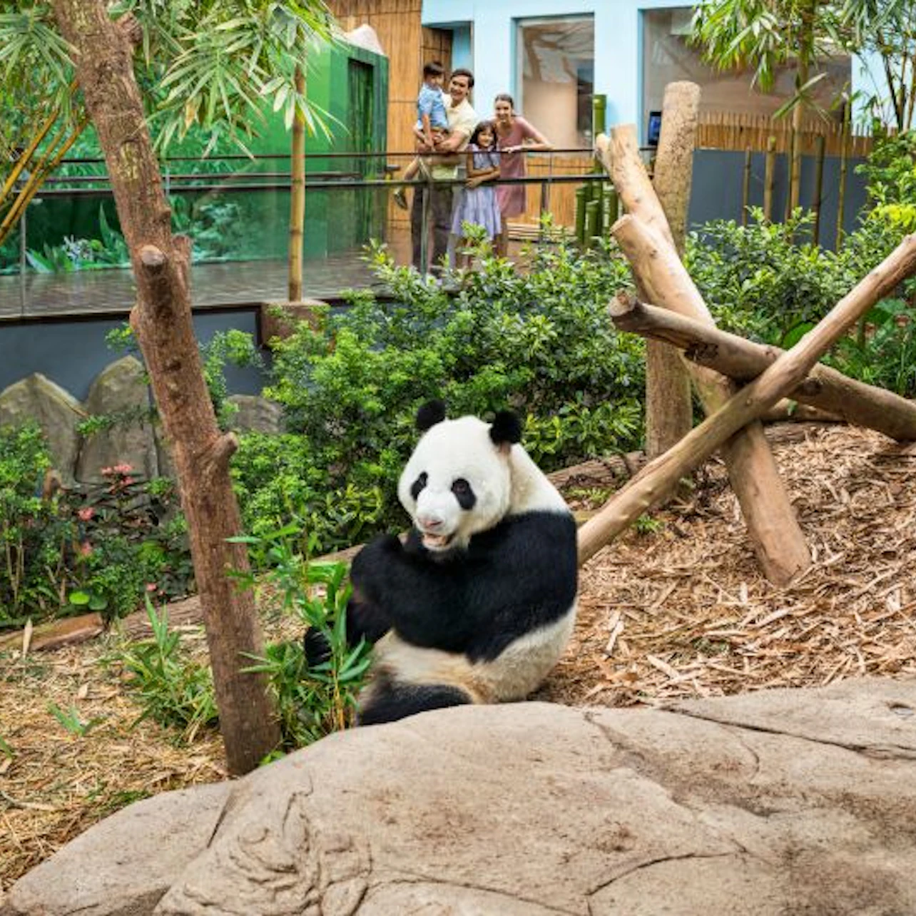 Singapore River Wonders: Entry Ticket in Singapore β Tiqets