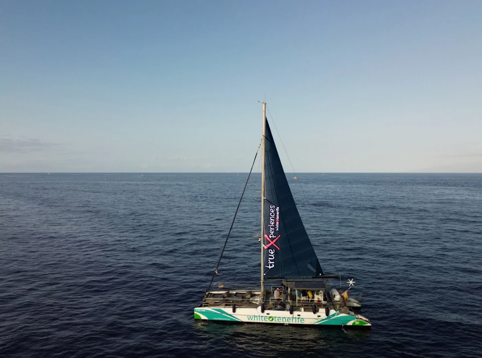 A catamaran with a dark sail and branding sails on calm, open water under a clear sky.