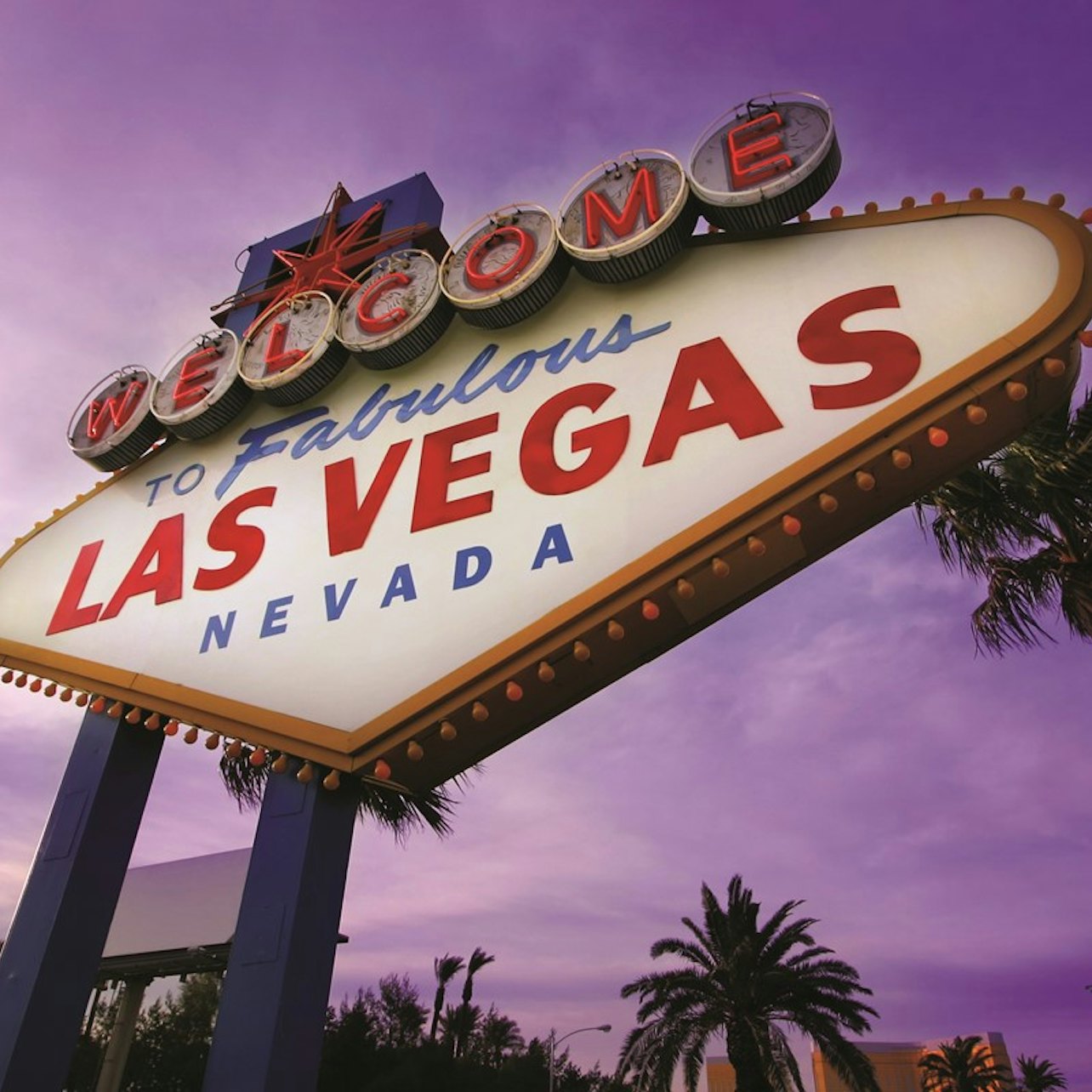 Big Bus Las Vegas: Night Tour - Accommodations in Las Vegas