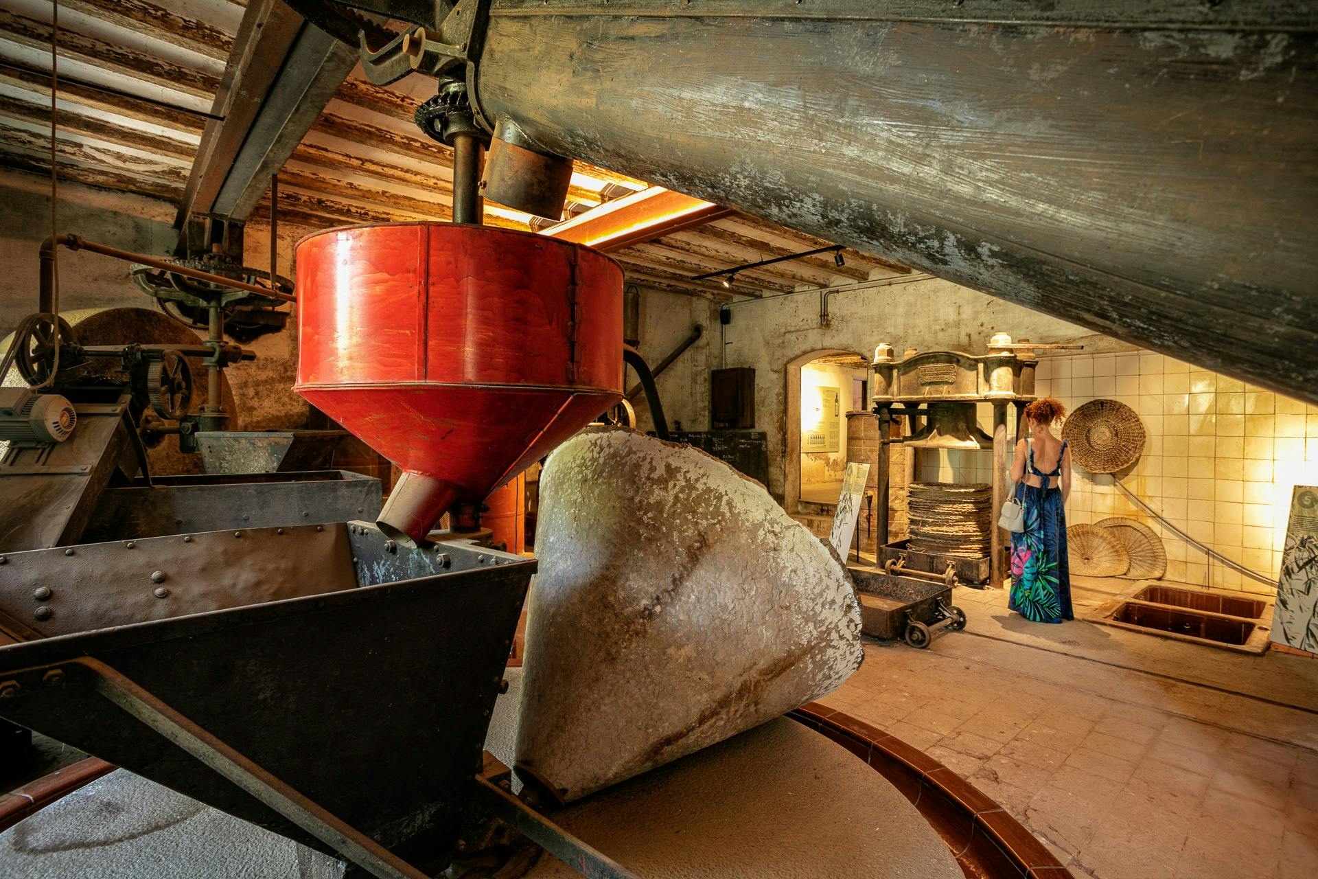 Mas del Miu Oil Museum。Samà Park. Cambrils