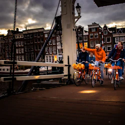 Amsterdam Light Festival: Guided Bike Tour 5