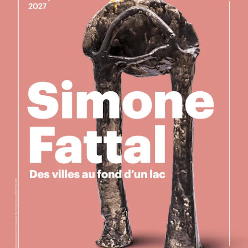 Museum of Modern Art Paris: Simone Fattal Exhibition - Photo 1