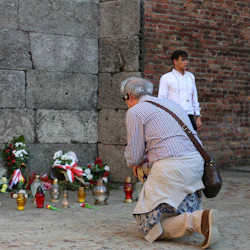 Auschwitz-Birkenau: Guided Tour + Transport + Lunch 5