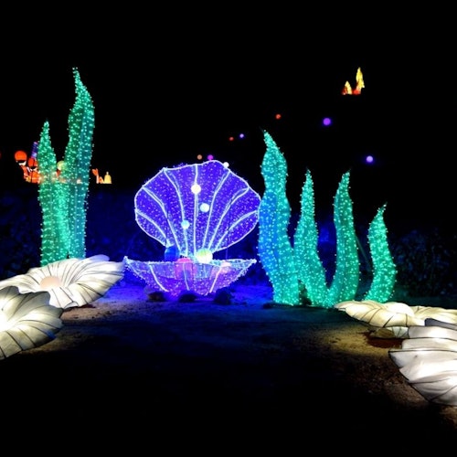 Great Chinese Lantern World: Light Show Tenerife