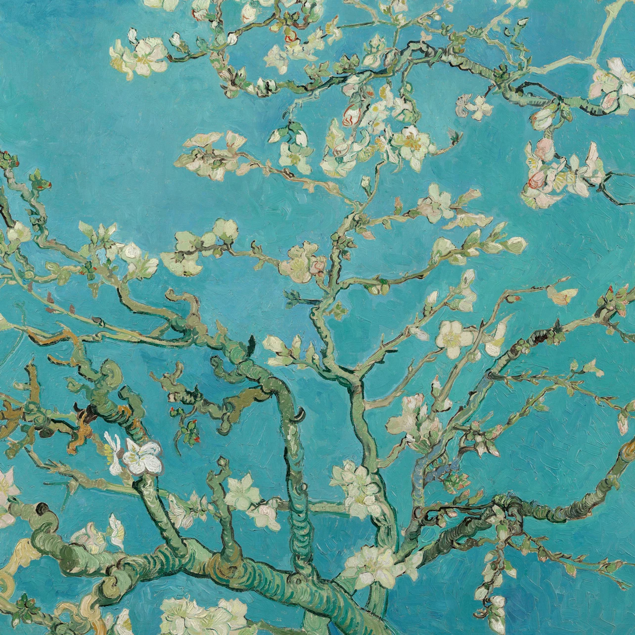 Van Gogh Museum: Guided Tour