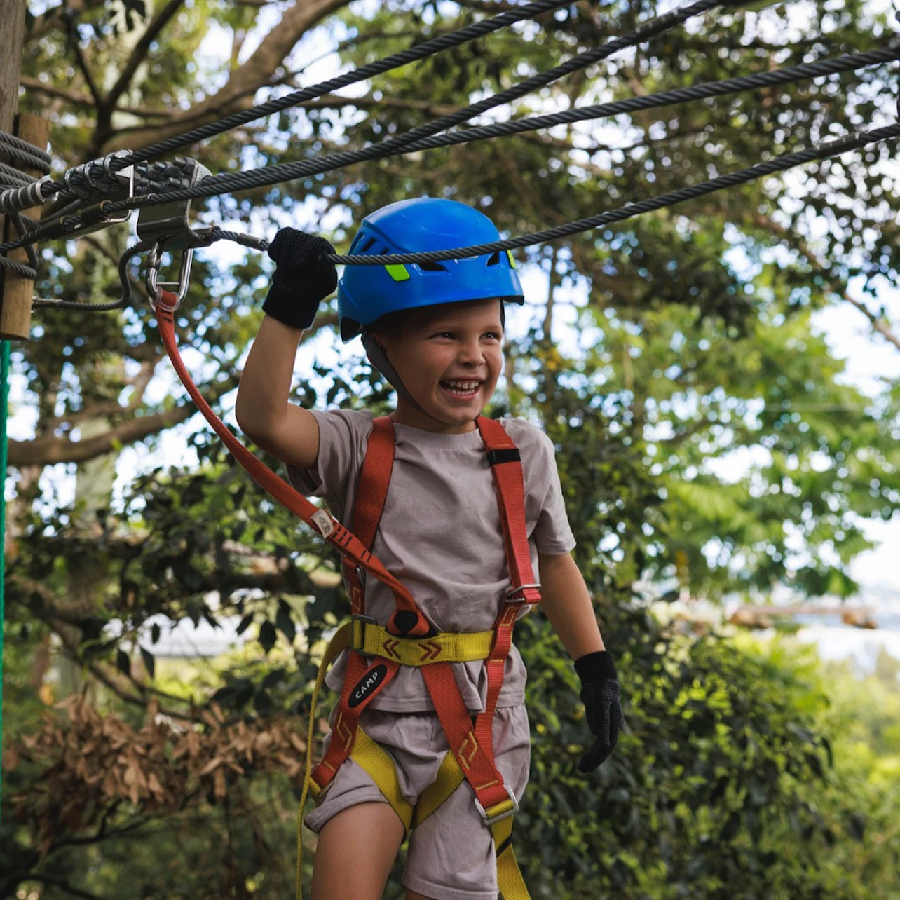 Treetops Adventure Western Sydney: Junior Ropes Course in Abbotsbury β Tiqets