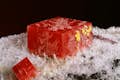 Ορυκτό ροδοχρωσίτη στην έκθεση Gems & Minerals