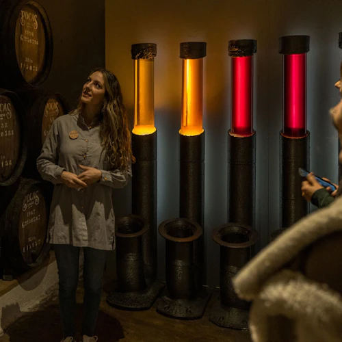 Caves Poças: Guided Tour + Tasting of 2 DOC Douro Wines + 1 Port Wine - Photo 3