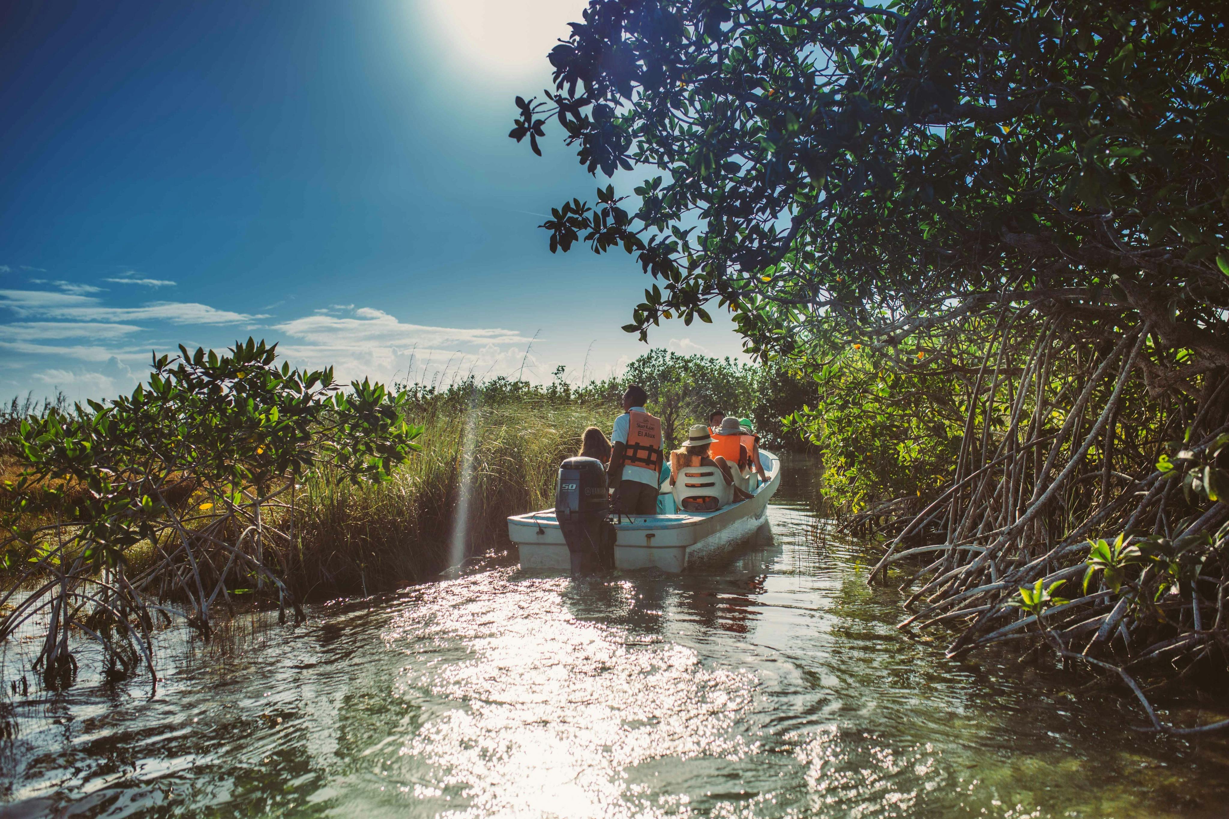 Sian Ka'an Reserve & Muyil Ruins Half-Day Tour Tickets