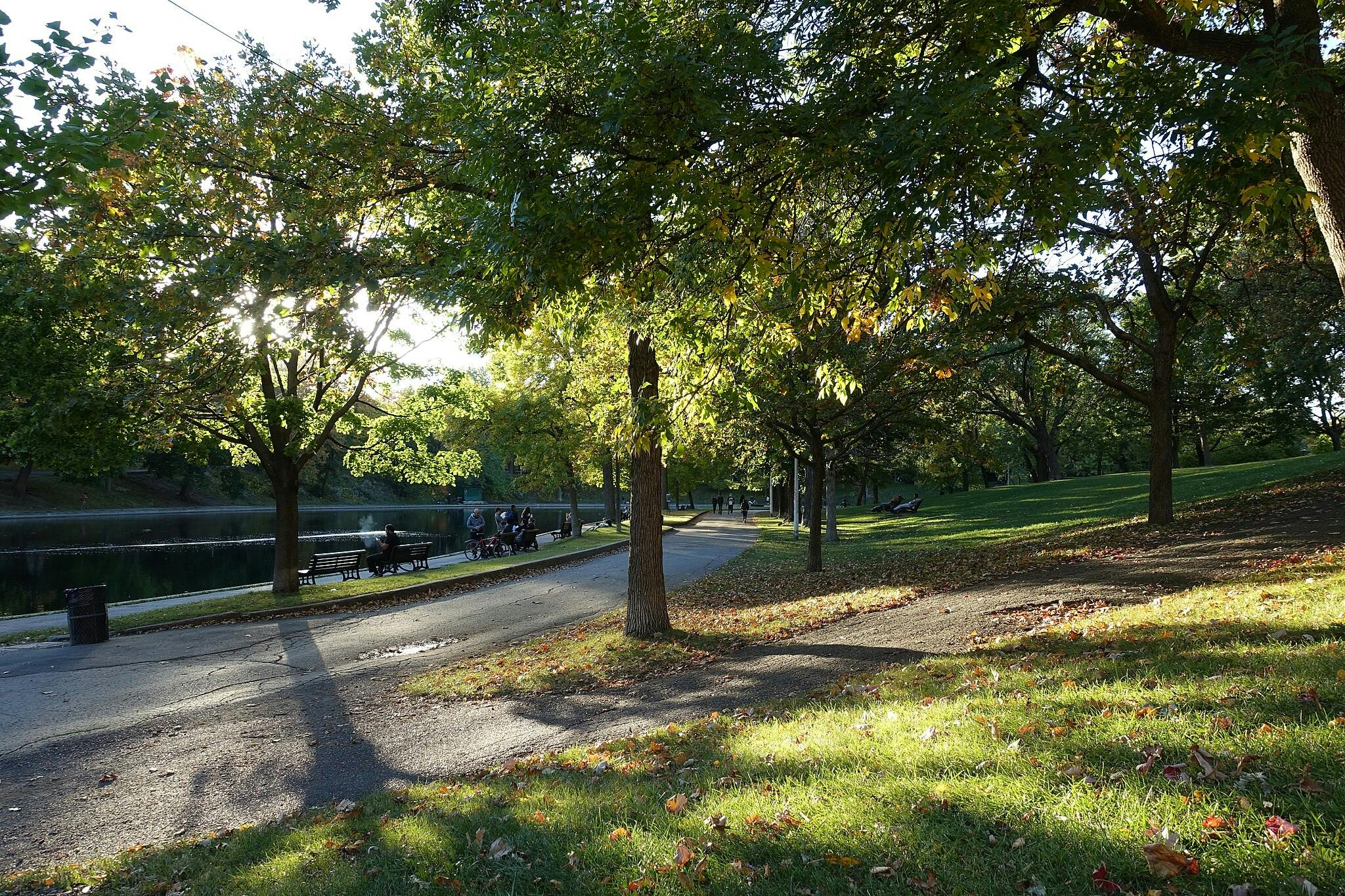 Un parc ensoleillé avec une allée bordée d'arbres, des bancs près d'un étang et des gens qui se promènent ou s'assoient.