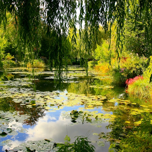 Giverny: Impressionist Day Trip from Paris with Audio Guide