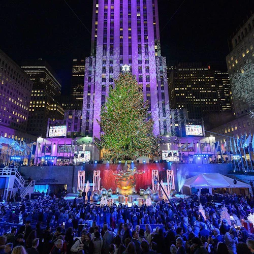 Nova Iorque: Visita guiada às Luzes de Natal + 1 bebida - Photo 2