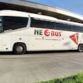 Neobus-bussar