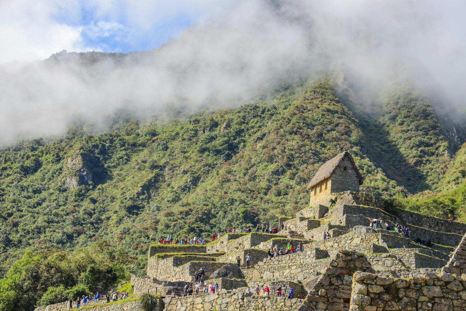 Machu Picchu: Circuit 1B - Upper Terrace Route Ticket - Photo 6