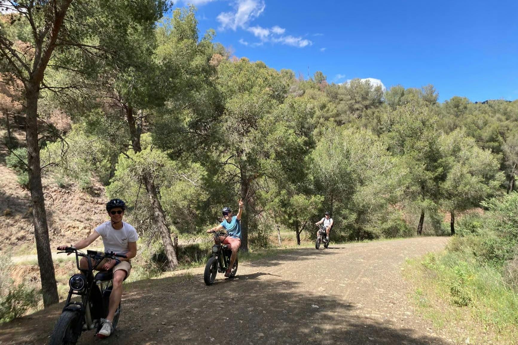 Málaga: 10-Hr E-Fat Bike Rental - Photo 8