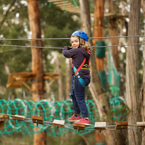 Treetops Adventure: St Ives - Photo 3