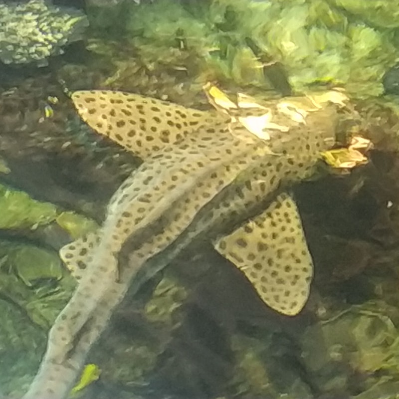 ナウシカ Tickets ブローニュ シュル メール Tiqets Com ナウシカ Tickets ブローニュ シュル メール Tiqets Com