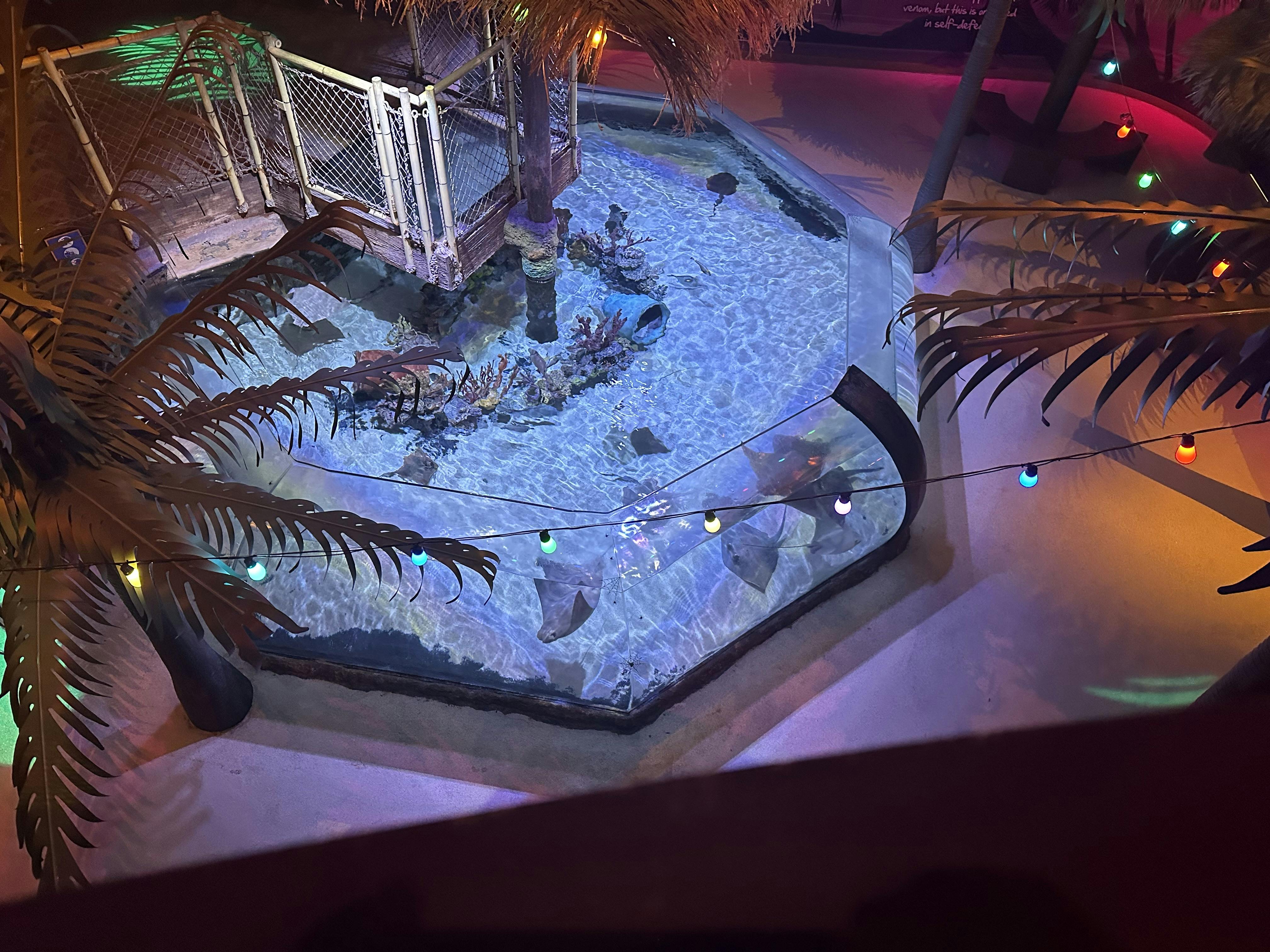 SEA LIFE Grapevine Aquarium Dallas tickets Dallas