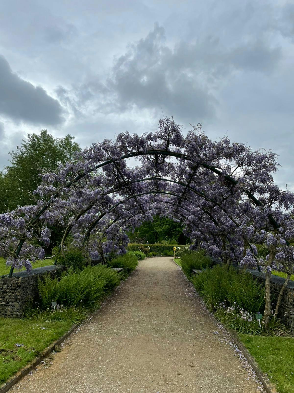 Jardin Botanique D'Utrecht | Tiqets