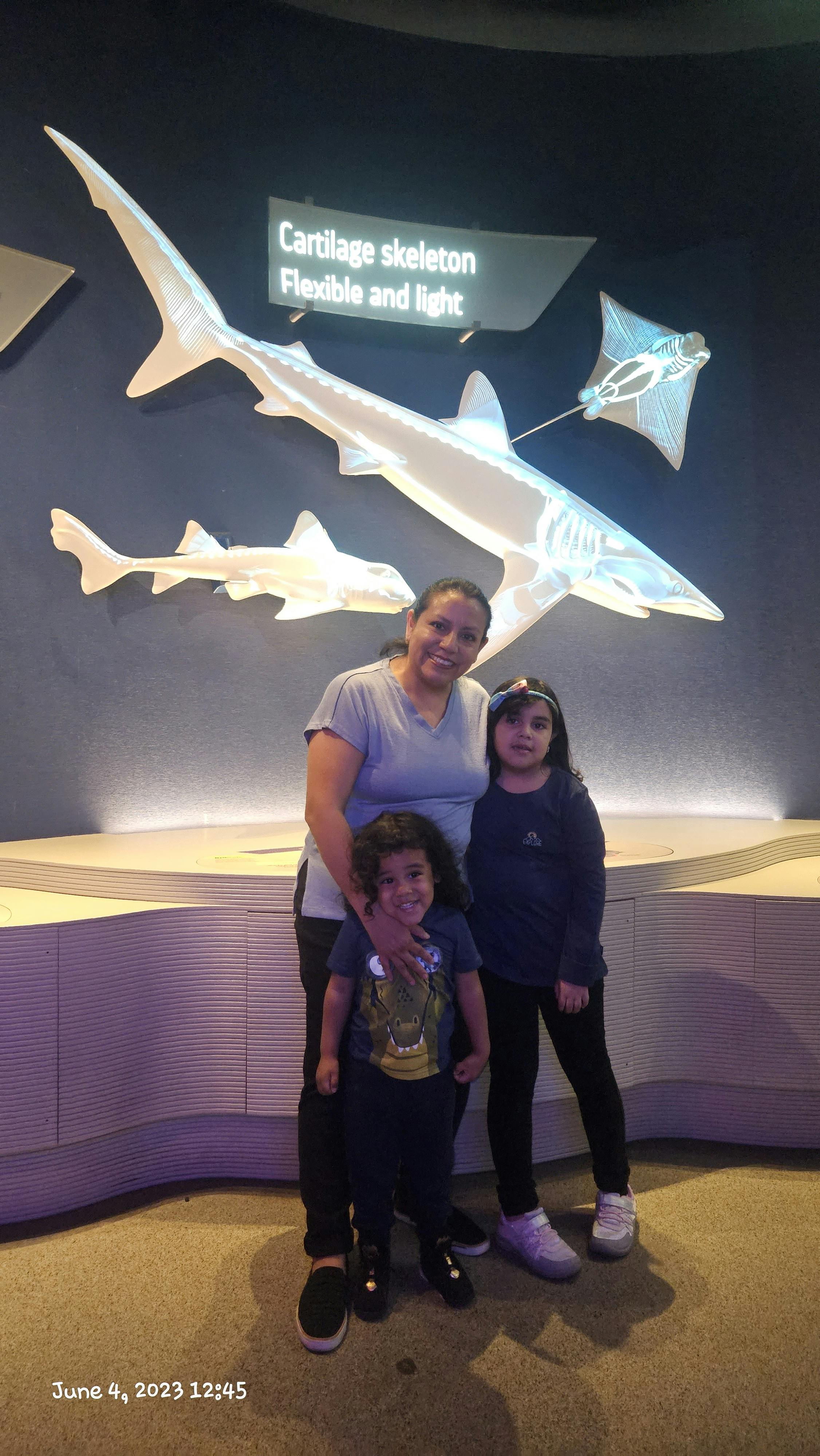 New York Aquarium Tickets New York