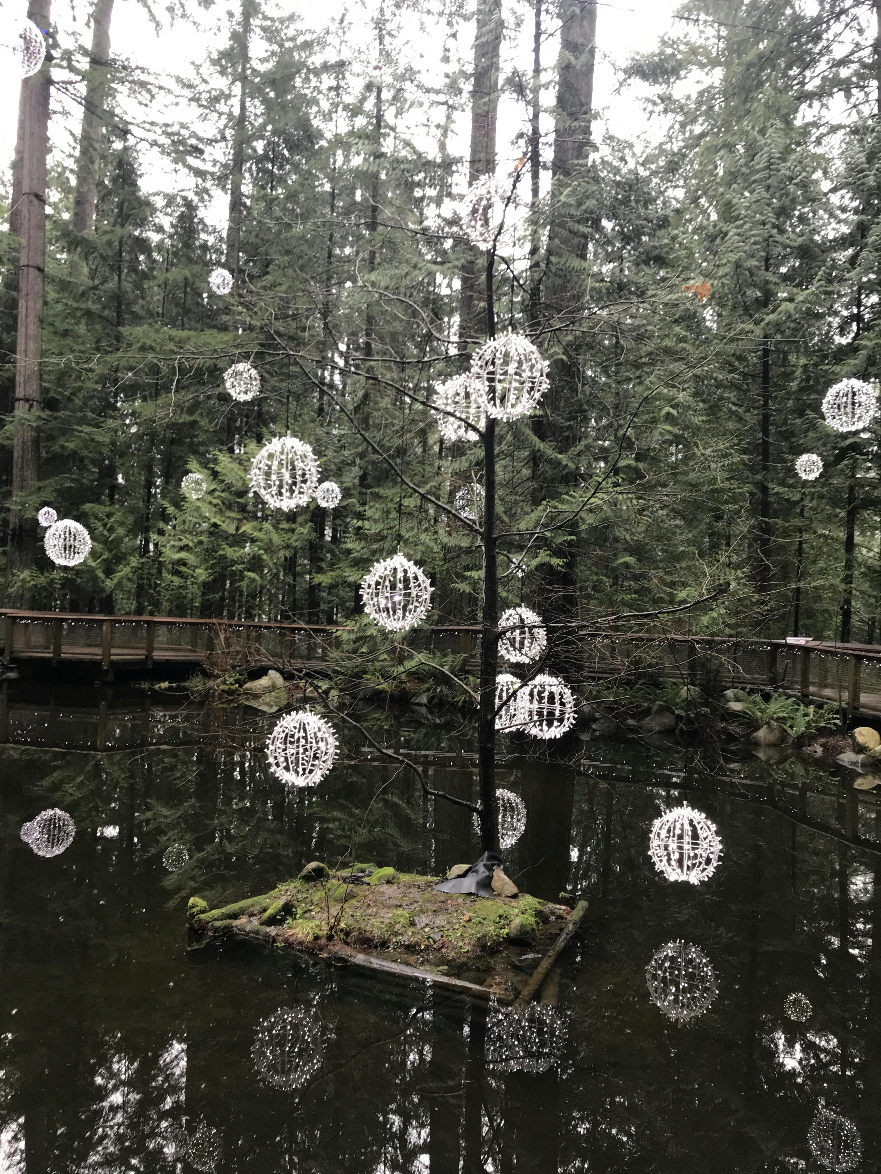 Tickets for Capilano Suspension Bridge Park Tiqets