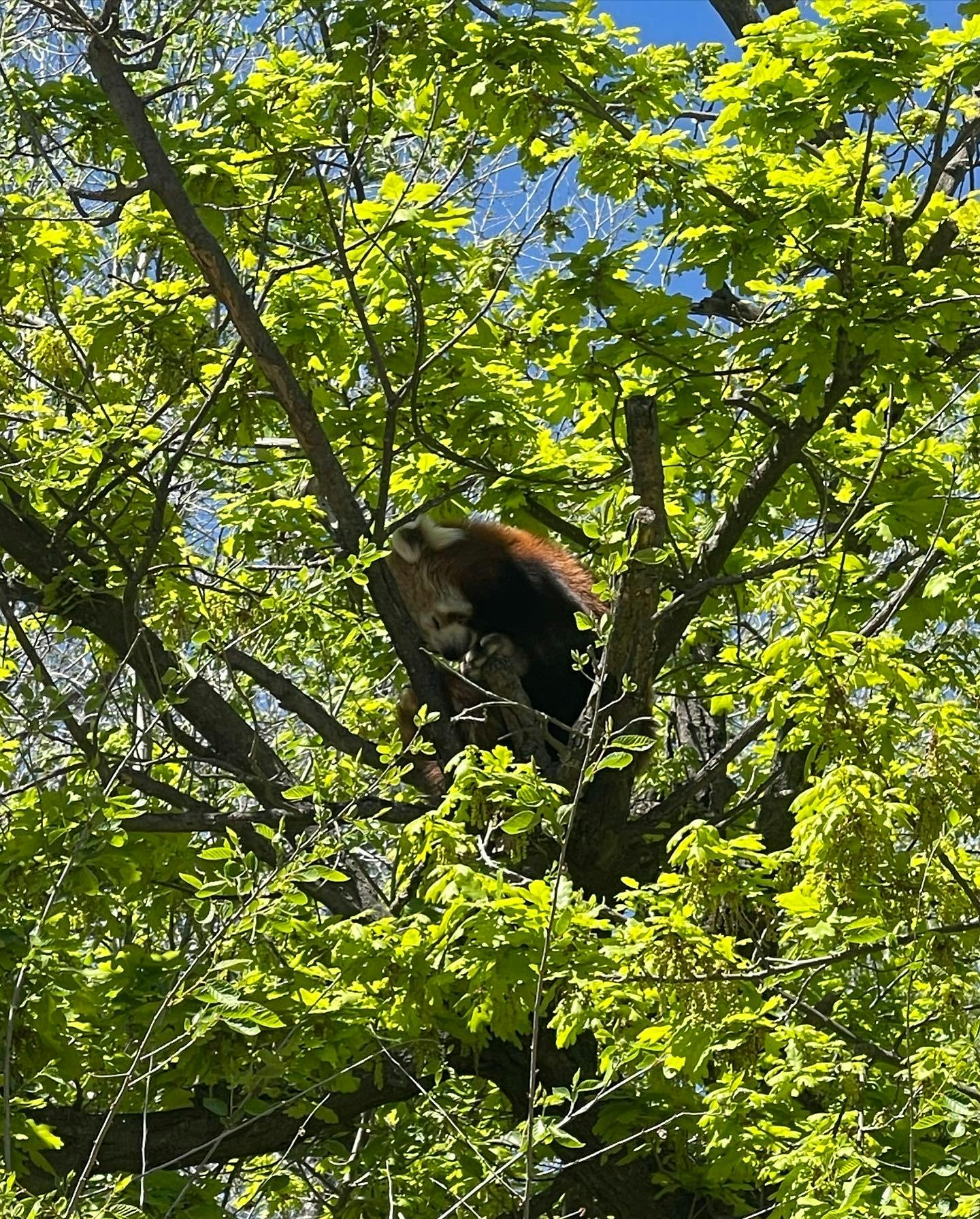 Entradas para Zoo Aquarium de Madrid Madrid