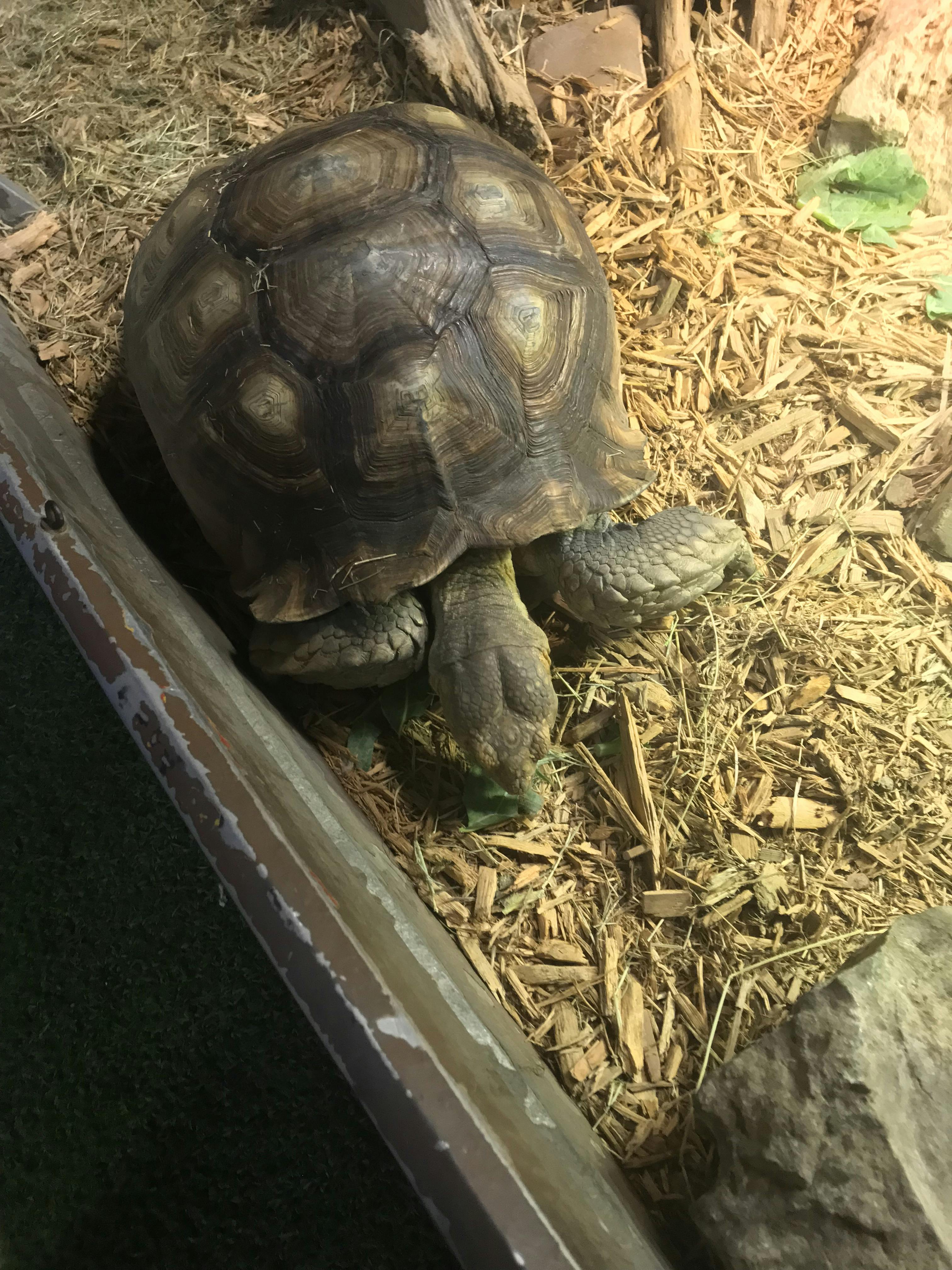 San Antonio Aquarium tickets San Antonio