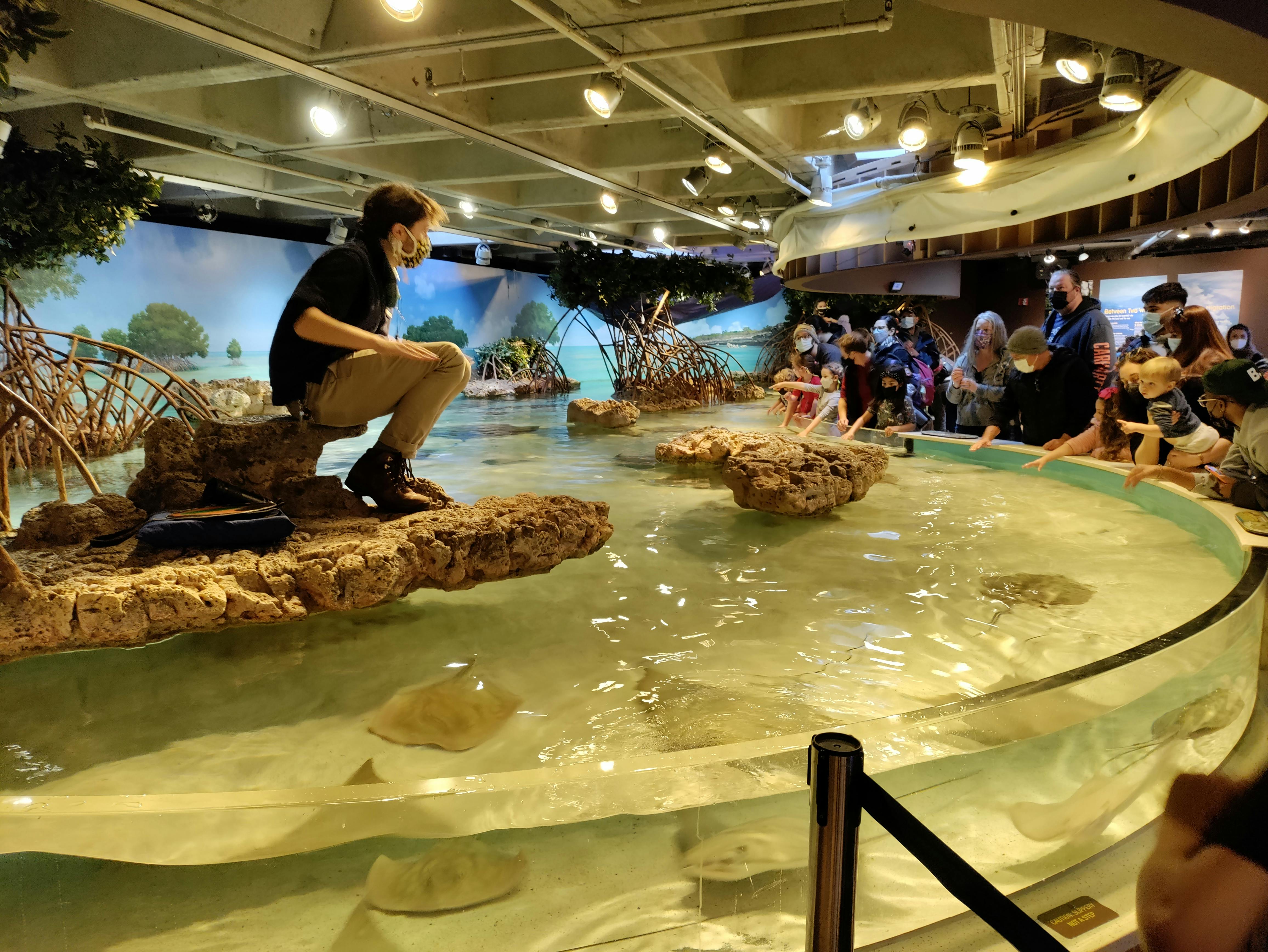 New England Aquarium tickets Boston