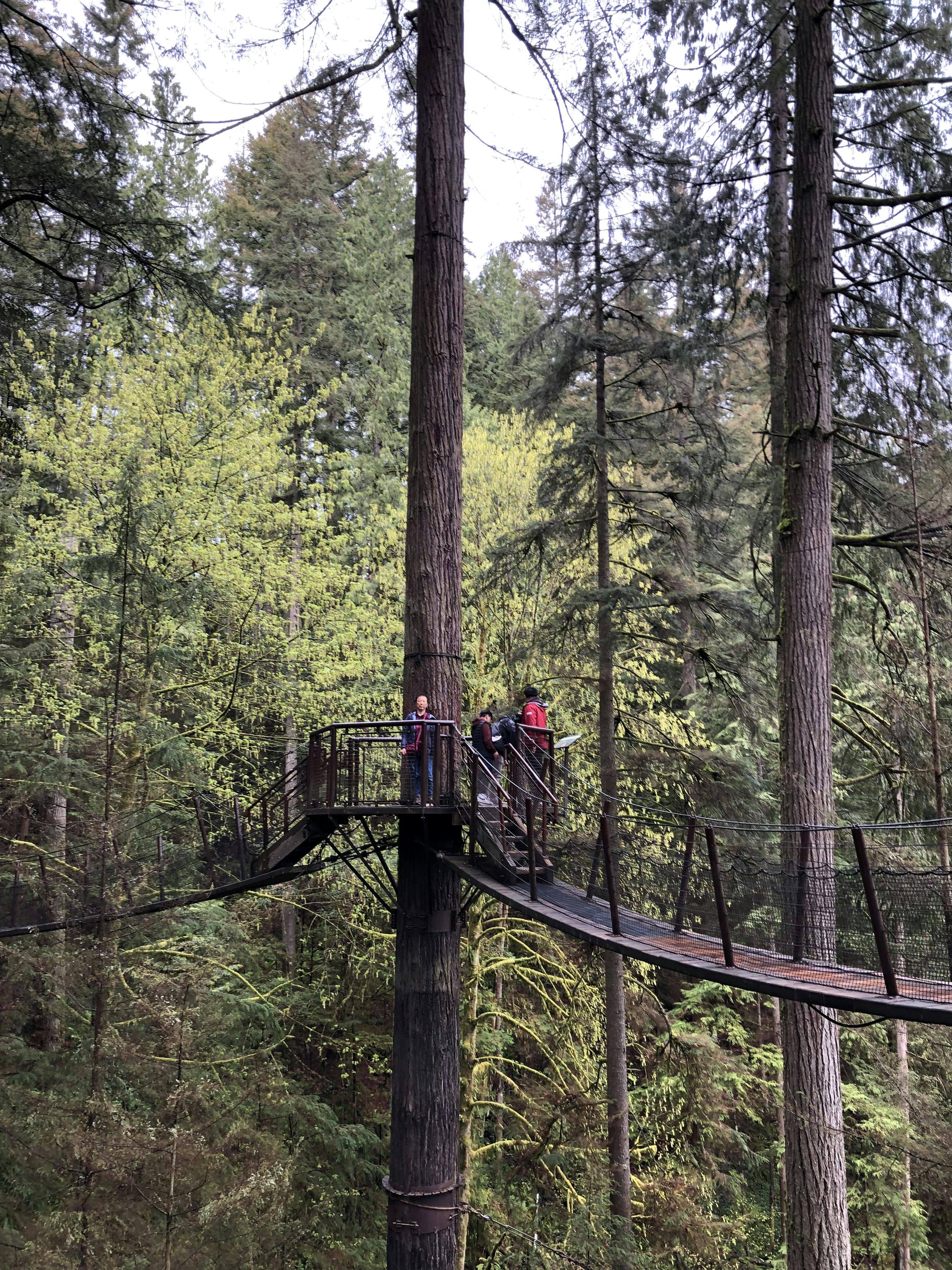 Tickets for Capilano Suspension Bridge Park Tiqets