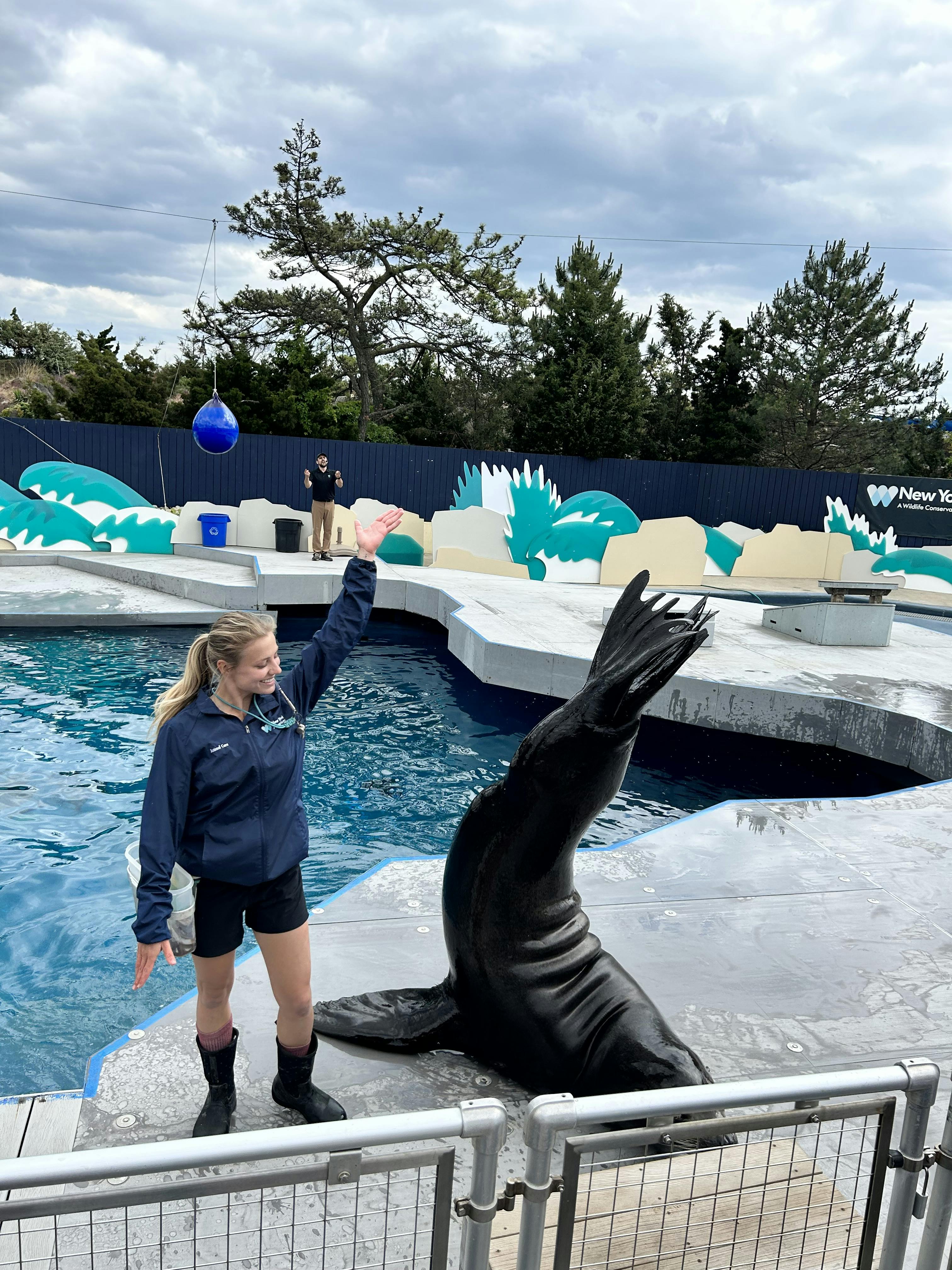 New York Aquarium Tickets Tiqets