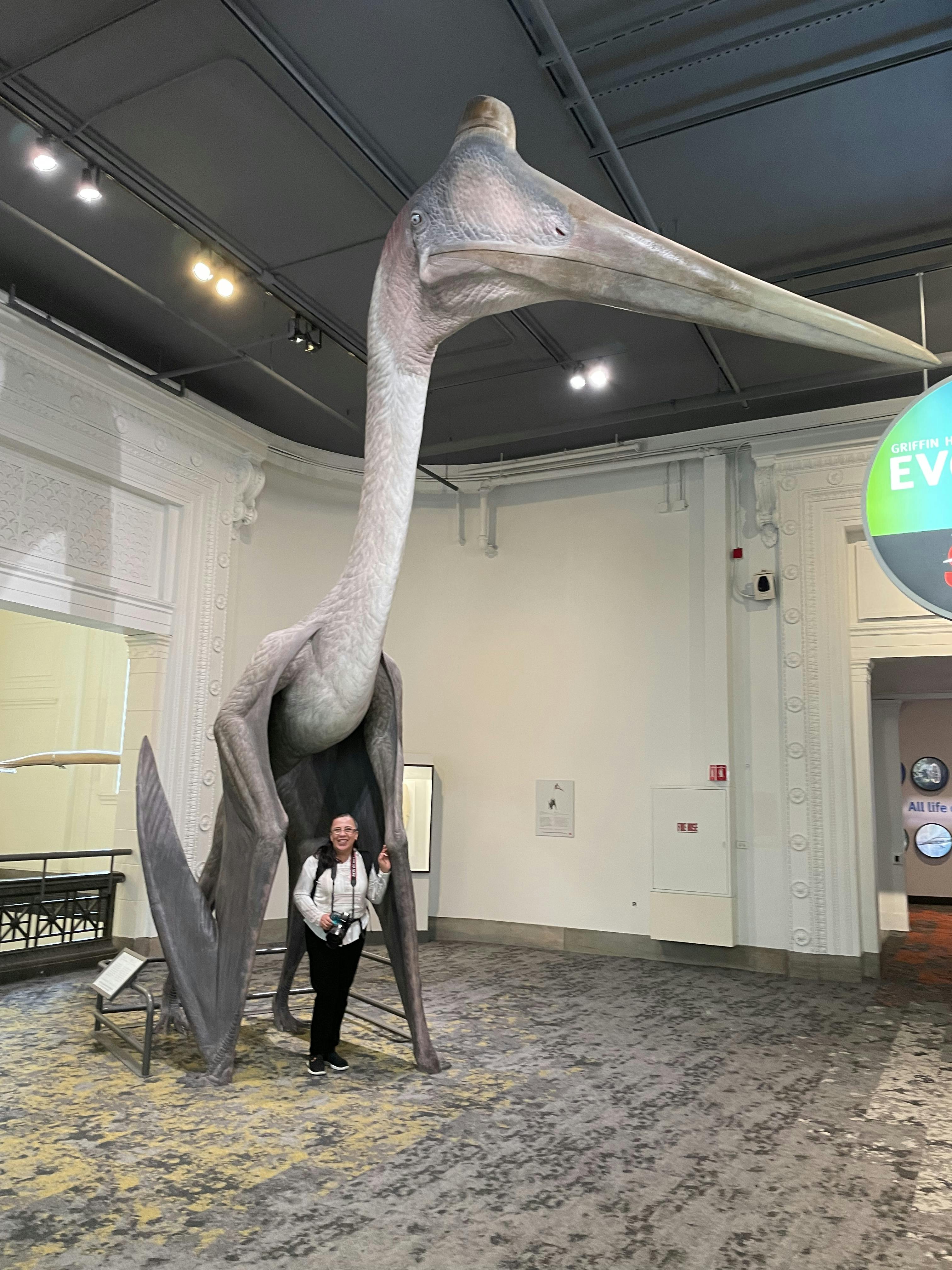 The Field Museum Tickets Chicago