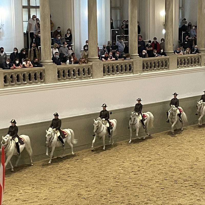 Lipizzaner Performance at the Spanish Riding School