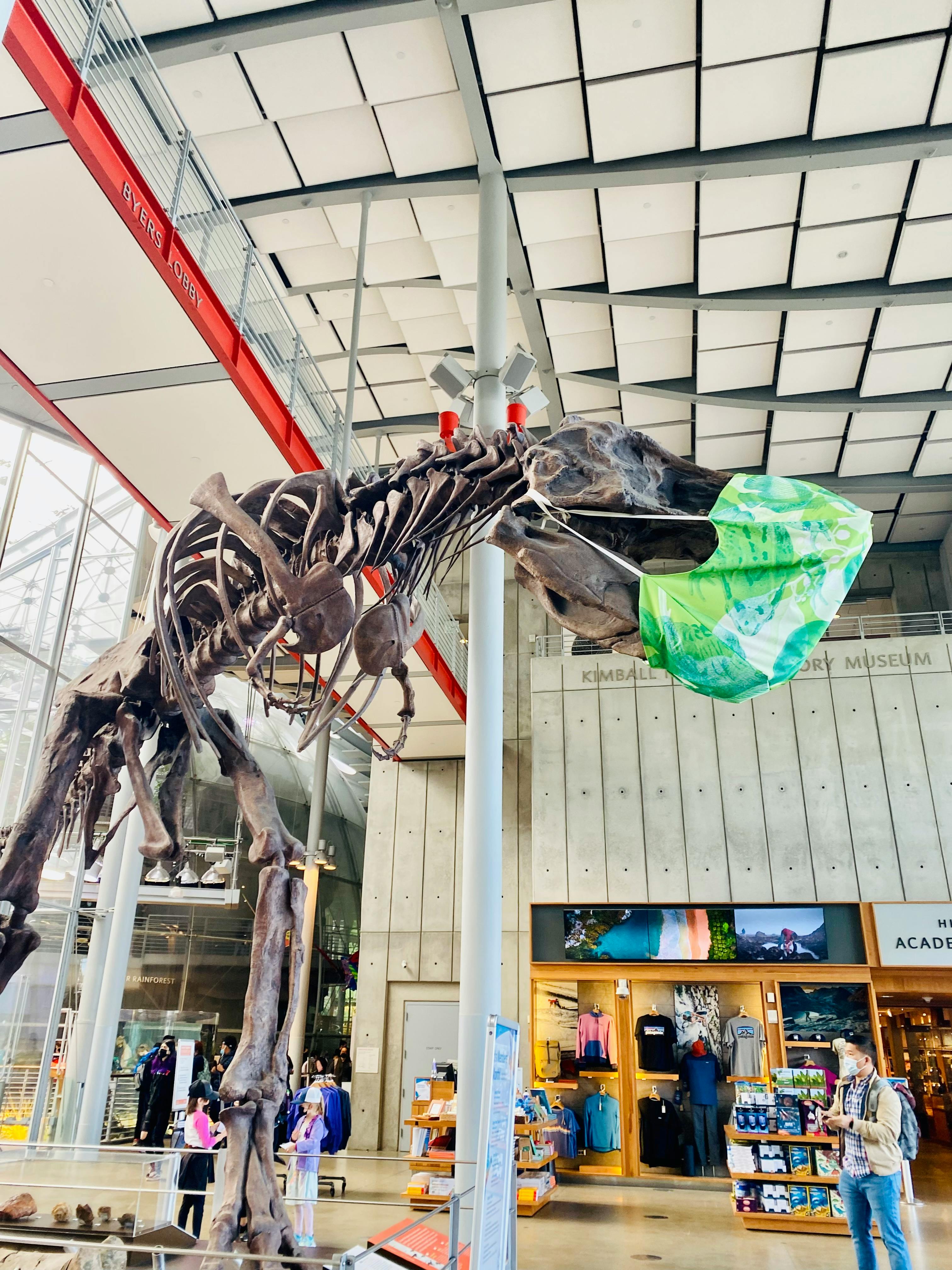 California Academy Of Sciences Tickets San Francisco Tiqets