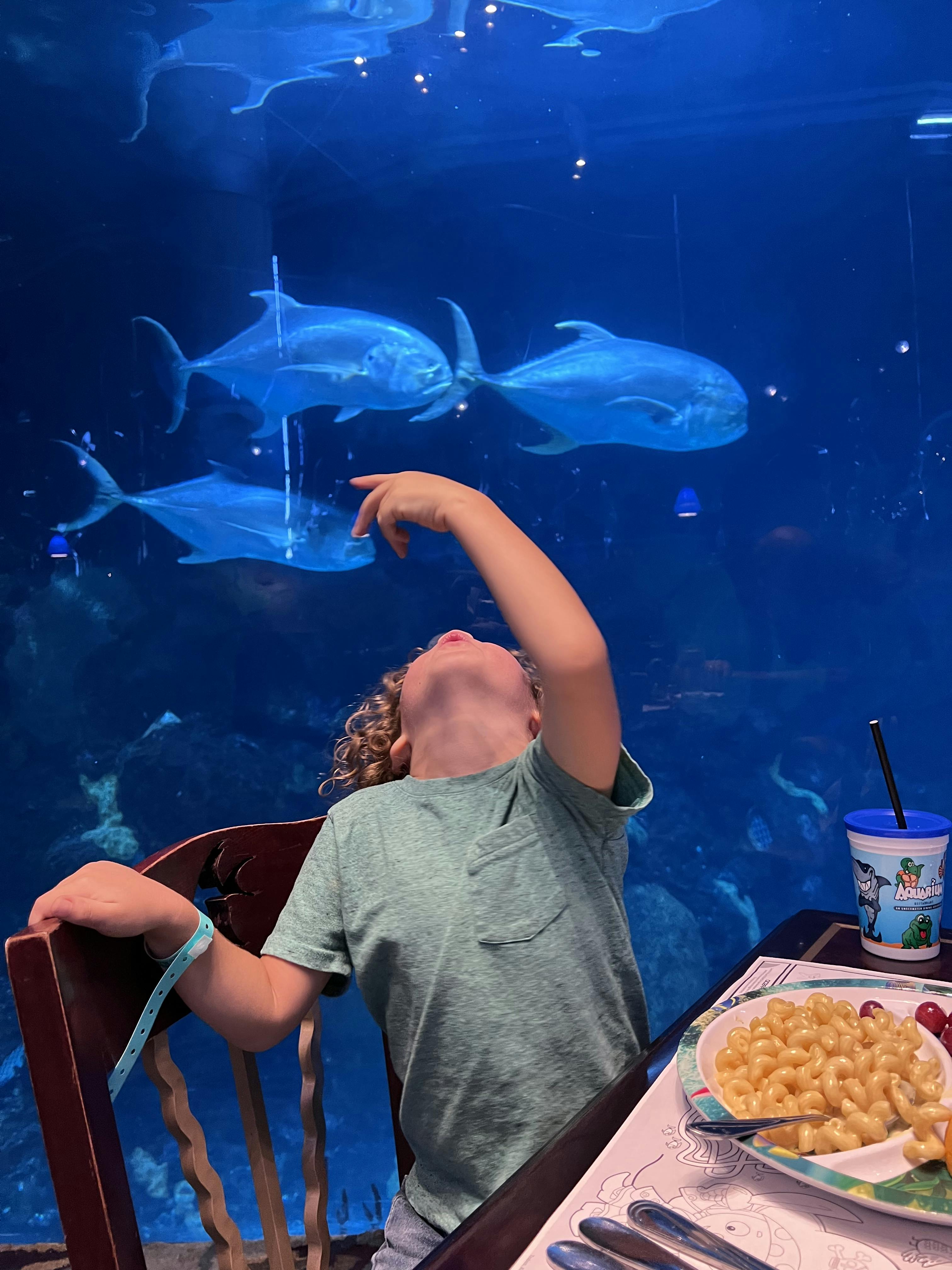 Downtown Aquarium Denver Tickets Denver