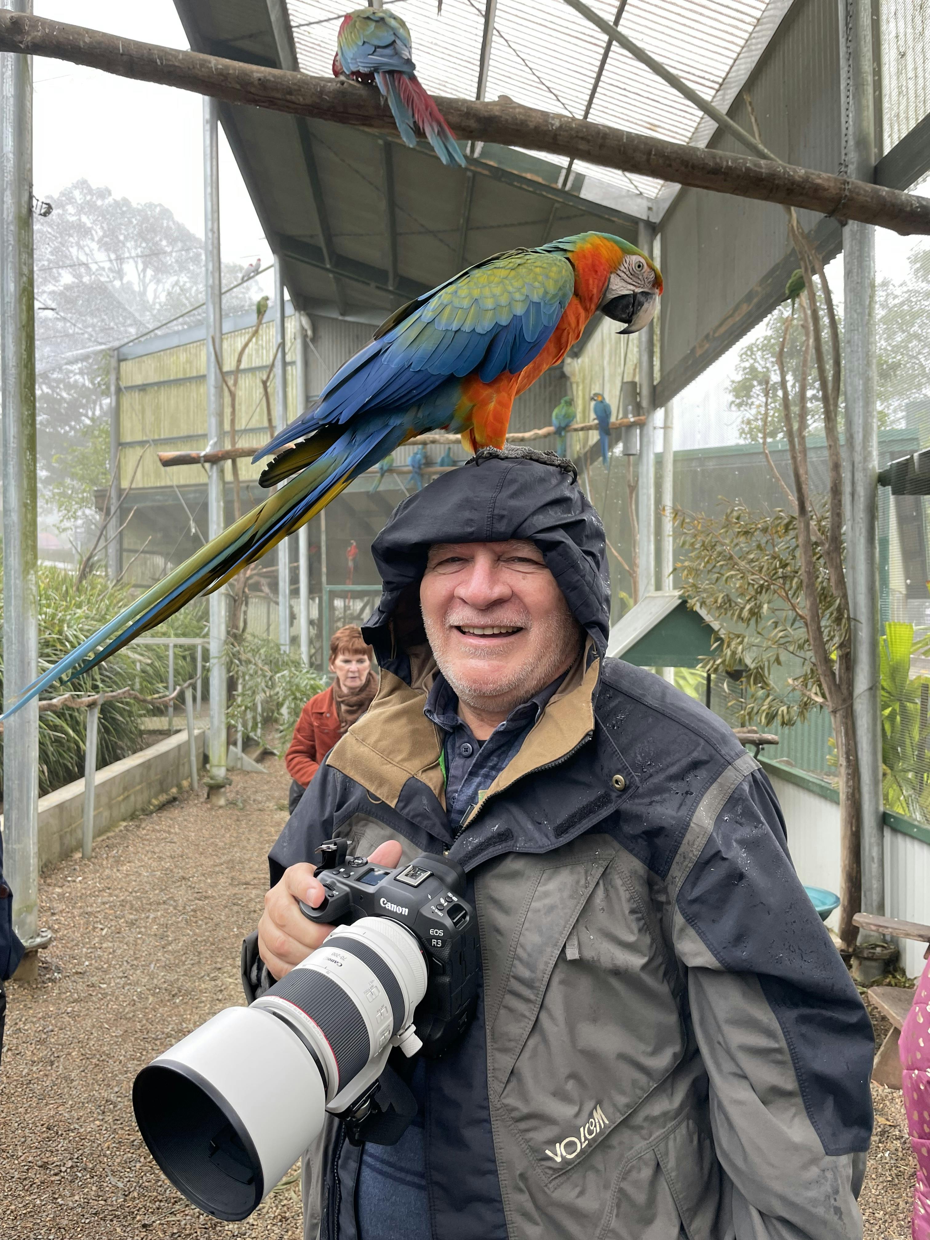 Maleny Botanic Gardens & Bird World Tickets Maleny