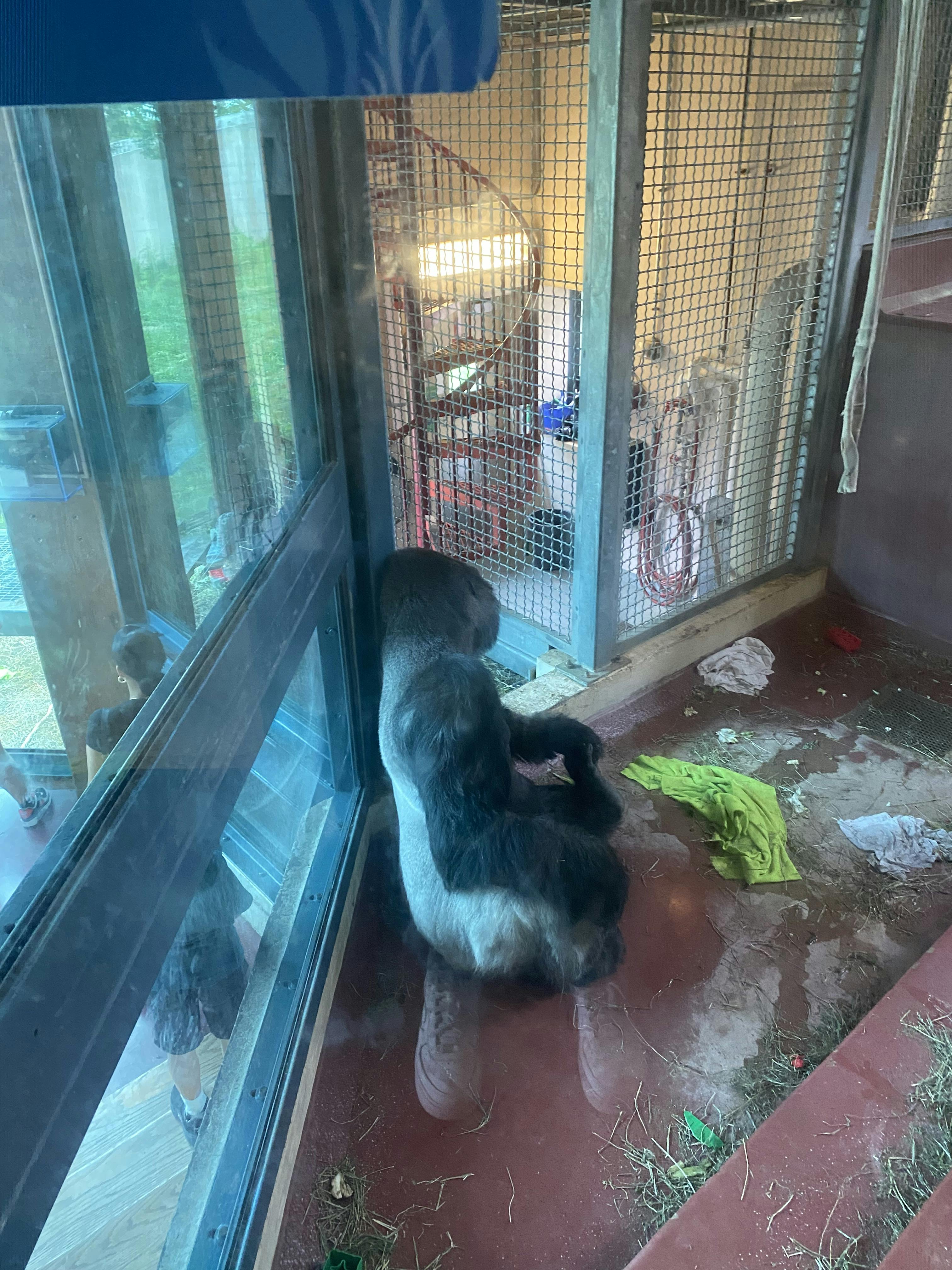 Philadelphia Zoo tickets Philadelphia