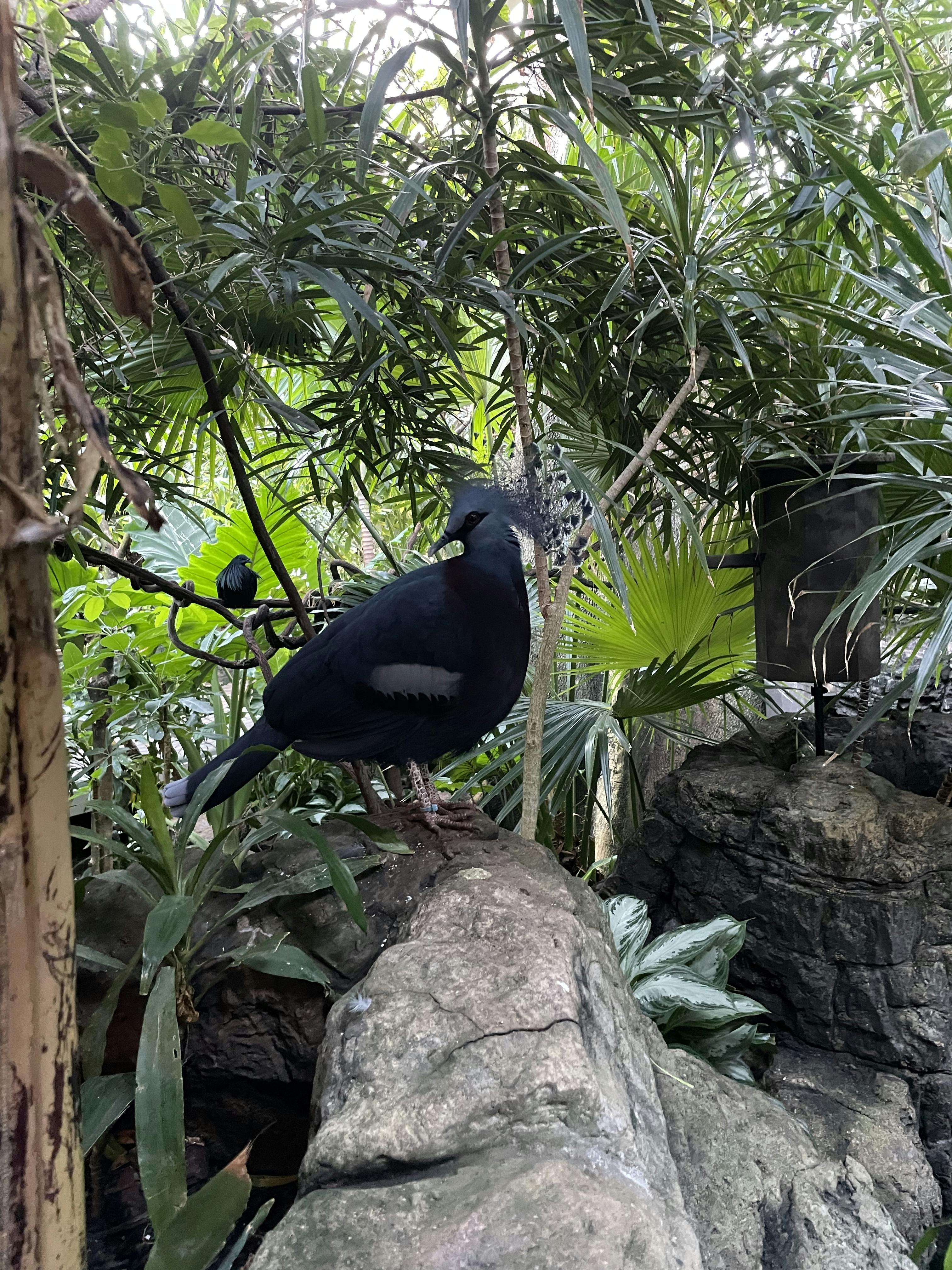 Central Park Zoo Tickets New York