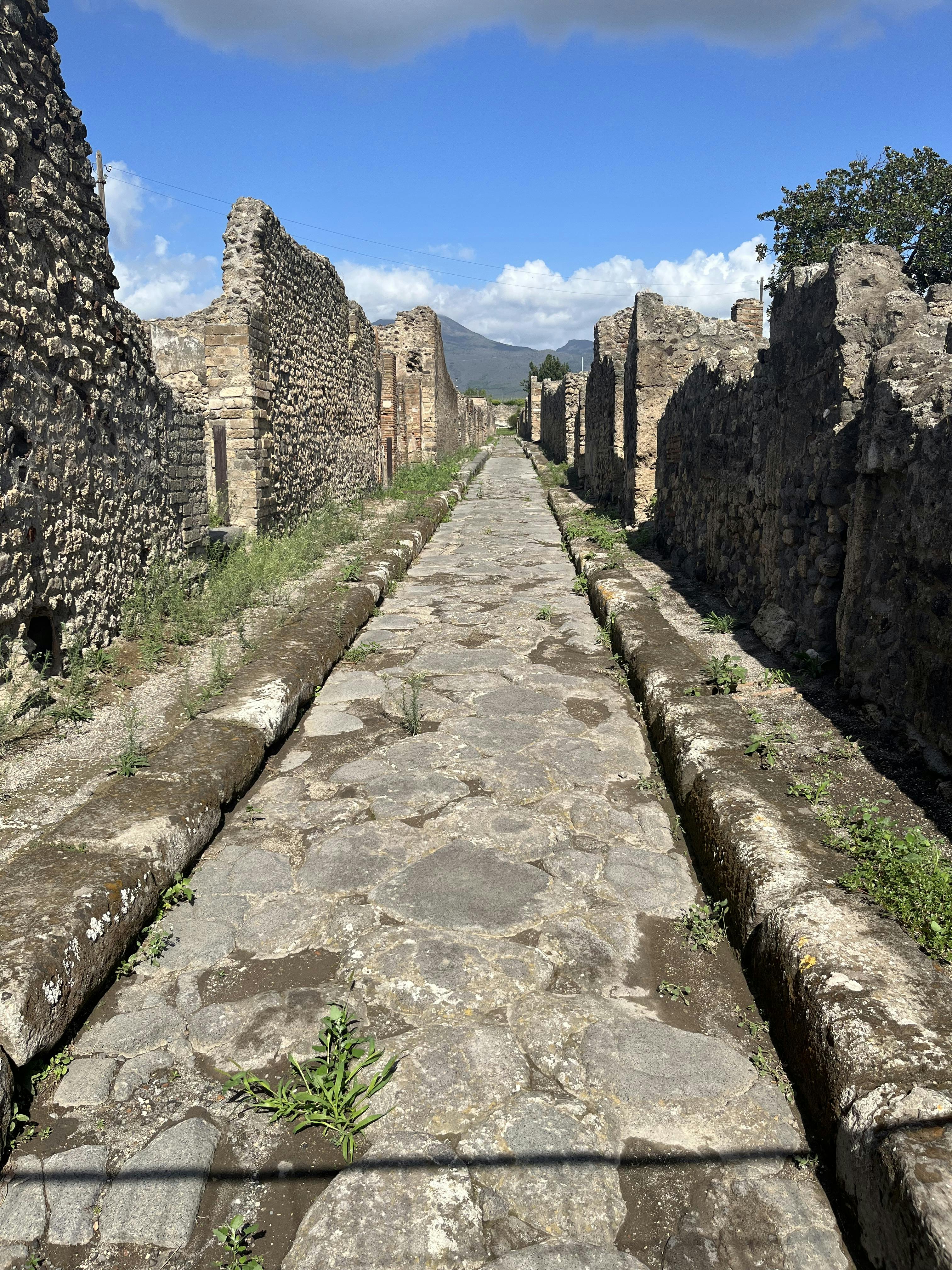 Herculaneum Tickets Ercolano