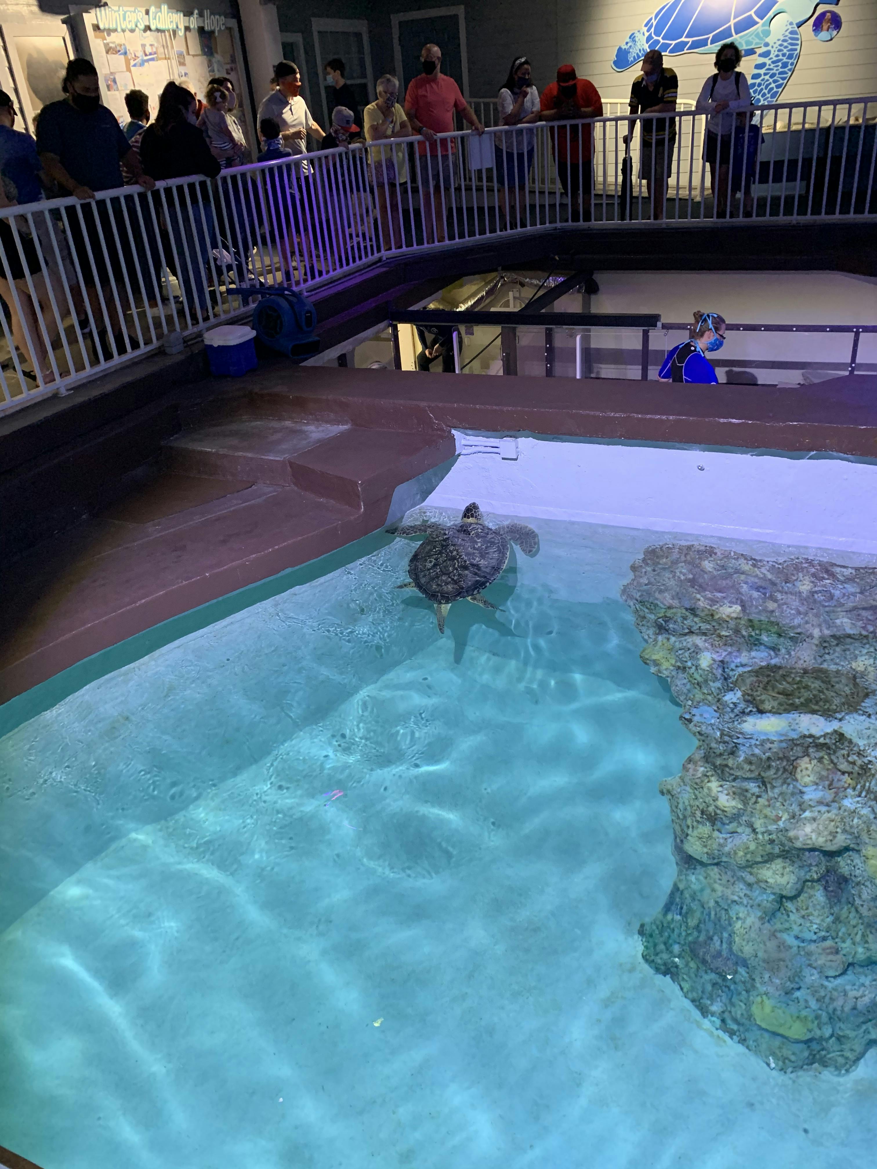 Clearwater Marine Aquarium tickets Clearwater