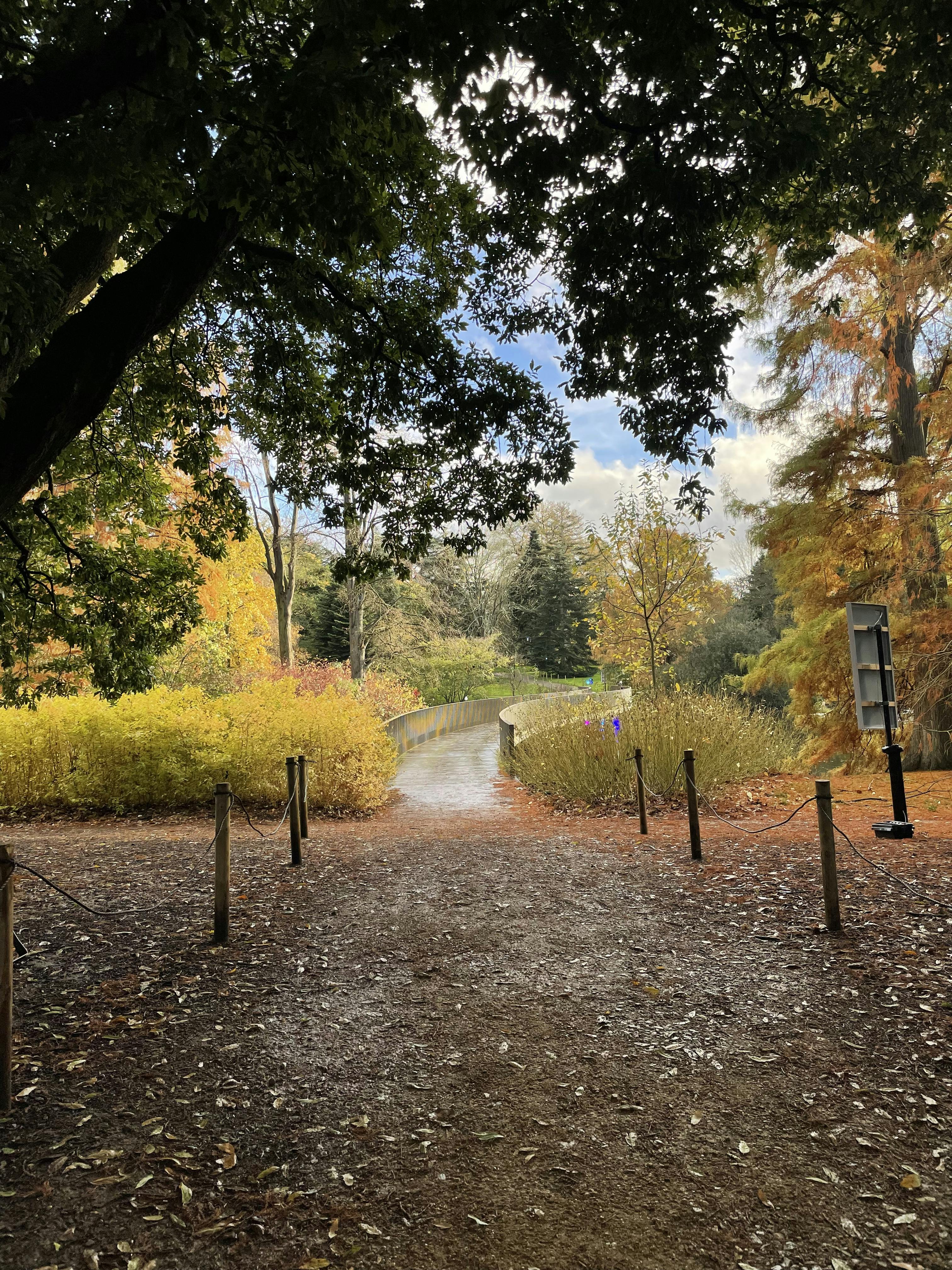 Kew Gardens Tickets London